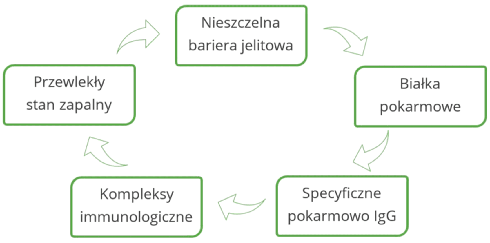 Mechanizm przewlekłego stanu zapalnego IgG